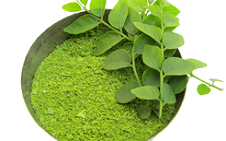 Curry Leaves Powder